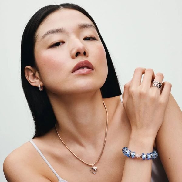New S925 Sterling Silver Moments Classic Round Buckle Snake Shaped Women's Gift Bracelet DIY Jewelry - 图片 4