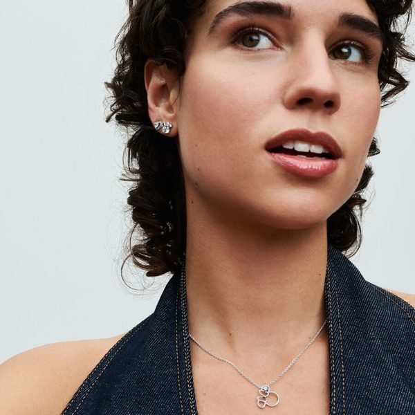 New Creative Arrow, Heart piercing Women's Sparkling Love Heart Rose Original Logo Necklace, Girlfriend Fashion Festival Gift - 图片 7